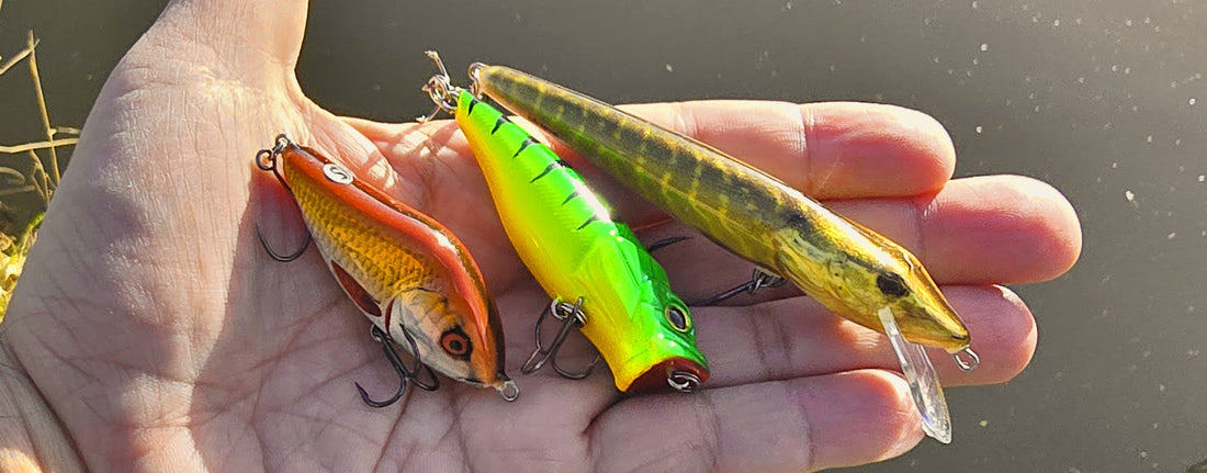 Different kinds of lures